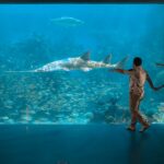 Invita Aquarium a disfrutar una experiencia única en Semana Santa