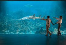 Invita Aquarium a disfrutar una experiencia única en Semana Santa