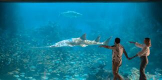 Invita Aquarium a disfrutar una experiencia única en Semana Santa