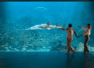 Invita Aquarium a disfrutar una experiencia única en Semana Santa