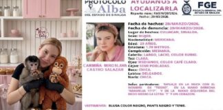 Alertan en Sinaloa por plagio de la influencer Carmiña Castro .