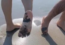 Derrame petrolero afecta gravemente costas de Veracruz y Tabasco.