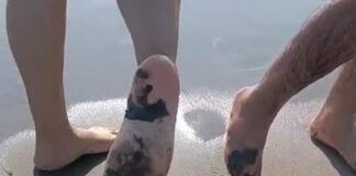 Derrame petrolero afecta gravemente costas de Veracruz y Tabasco.