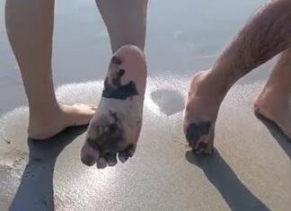 Derrame petrolero afecta gravemente costas de Veracruz y Tabasco.