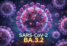 Variante BA.3.2 de COVID-19 alarma por su capacidad de evasión inmunológica