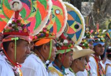Cumbre Tajín, encuentro con la identidad y la herencia de los pueblos originarios