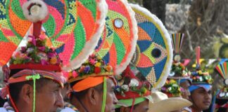 Cumbre Tajín, encuentro con la identidad y la herencia de los pueblos originarios