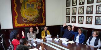 El IMMX fortalecerá la profesionalización de su personal en colaboración con la Sefiplan