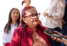 El Ayuntamiento de Xalapa consultará a artistas sobre el estado del mural intervenido.