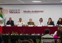 Un buque y dos chapopoteras naturales, la causa del derrame de hidrocarburos Veracruz y Tabasco: GI