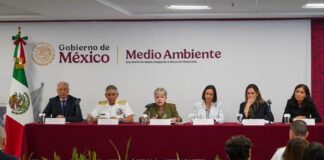 Un buque y dos chapopoteras naturales, la causa del derrame de hidrocarburos Veracruz y Tabasco: GI