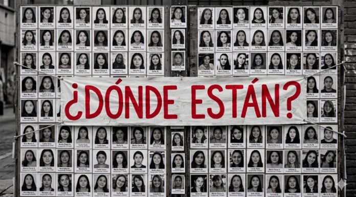 ONU alerta por desapariciones forzadas en México y advierte posible configuración de crímenes de lesa humanidad
