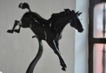 Inaugura SECVER las exposiciones Expresiones Sin Límites y Diálogos de la Materia.