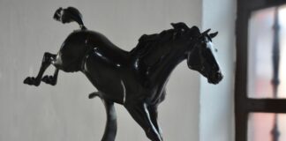 Inaugura SECVER las exposiciones Expresiones Sin Límites y Diálogos de la Materia.