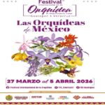 Coatepec celebra su riqueza natural con el XVII Festival Internacional de la Orquídea