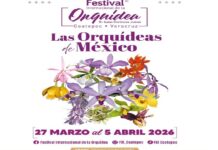Coatepec celebra su riqueza natural con el XVII Festival Internacional de la Orquídea