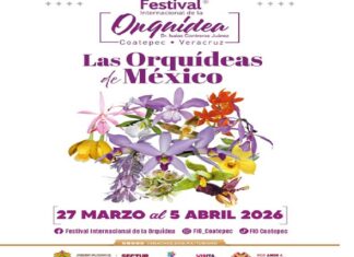 Coatepec celebra su riqueza natural con el XVII Festival Internacional de la Orquídea