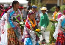 La hoja de maíz se transforma en arte y tradición en Cumbre Tajín