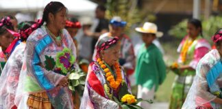 La hoja de maíz se transforma en arte y tradición en Cumbre Tajín