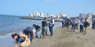 Grupo Interinstitucional despliega más de 2 mil 400 elementos coordinados para atender la presencia de hidrocarburos en costas de Veracruz y Tabasco