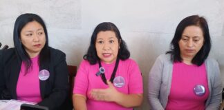 Equifonía alerta por 7,444 nacimientos en niñas de 10 a 14 años; Veracruz es cuarto lugar nacional.