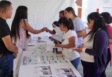 Caravana de Servicios acerca 488 oportunidades laborales a Teocelo