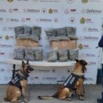 Operativos de la SSP: 29 detenidos y decomiso de cerca de 12 kilos y más de 230 dosis de estupefacientes.