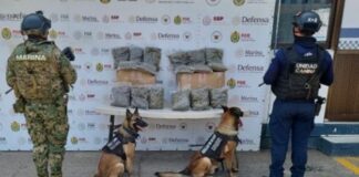 Operativos de la SSP: 29 detenidos y decomiso de cerca de 12 kilos y más de 230 dosis de estupefacientes.