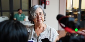 Cierran preventivamente Parque Juárez por riesgo de araucaria ante fuertes vientos.