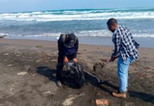 Garantiza PMA limpieza de playas tras arribo de residuos de hidrocarburo #Veracruz