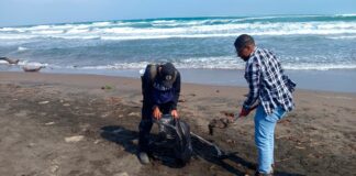 Garantiza PMA limpieza de playas tras arribo de residuos de hidrocarburo #Veracruz