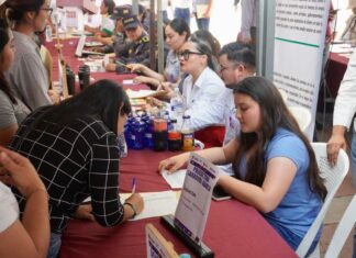 Veracruz, cuarto lugar nacional en generación de empleo formal.