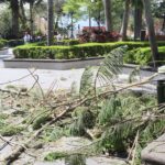 Reportan diversas afectaciones por nortazo en la capital Xalapa