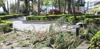 Reportan diversas afectaciones por nortazo en la capital Xalapa