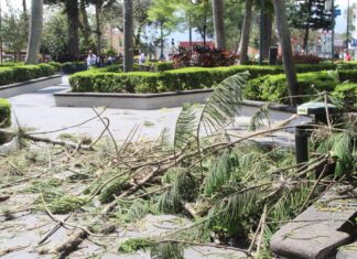 Reportan diversas afectaciones por nortazo en la capital Xalapa