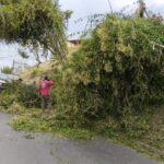 Reporta PC Xalapa 36 árboles y ramas caídas y 21 destechamientos por fuertes vientos.