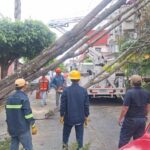 Frente frío deja afectaciones en 41 municipios de Veracruz, reporta Gobernadora Rocío Nahle.