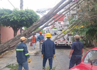 Frente frío deja afectaciones en 41 municipios de Veracruz, reporta Gobernadora Rocío Nahle.