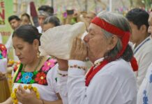 Este fin de semana, la alegría unirá culturas en Cumbre Tajín: Rocío Nahle.