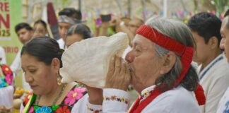 Este fin de semana, la alegría unirá culturas en Cumbre Tajín: Rocío Nahle.