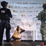 SSP detiene a 49 personas y decomisa 342 dosis de droga en 40 municipios.