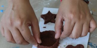 Creatividad que nace de la tierra, conoce el taller de aserrín en Cumbre Tajín.