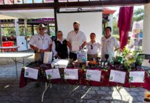 Salud acerca prevención y orientación a visitantes de Cumbre Tajín.