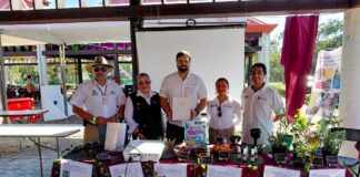 Salud acerca prevención y orientación a visitantes de Cumbre Tajín.