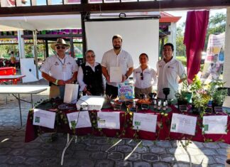 Salud acerca prevención y orientación a visitantes de Cumbre Tajín.