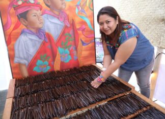 Arte que resguarda la memoria: identidad y luz en Cumbre Tajín