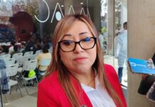 Salud municipal de Xalapa llama a denunciar formalmente maltrato animal.