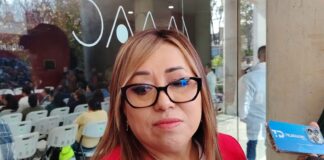 Salud municipal de Xalapa llama a denunciar formalmente maltrato animal.