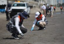 Playa Santa Ana se mantiene limpia tras labores coordinadas: PC