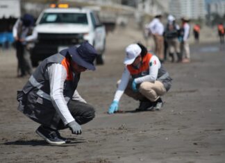 Playa Santa Ana se mantiene limpia tras labores coordinadas: PC